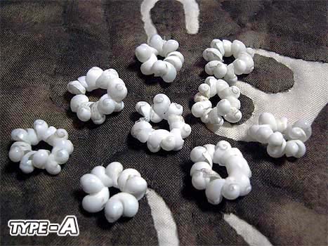 �V�R�V�F���r�[�Y