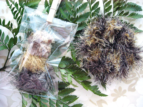 �V���V�� No.004