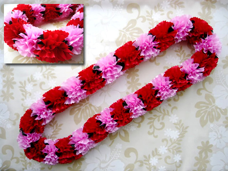 �J�[�l�[�V�������C �L�b�g