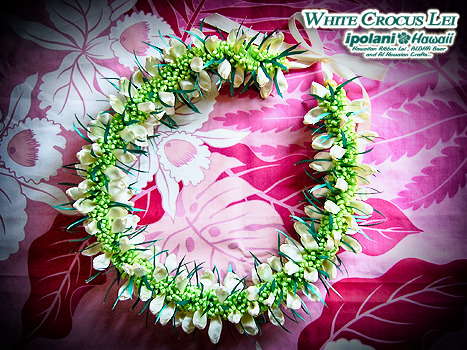 �N���b�J�X���C �L�b�g