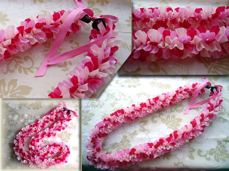 �I�[�L�b�h���C �L�b�g