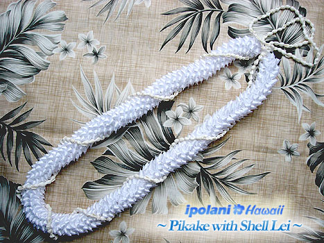 �s�J�Pwith�V�F�����C / �j�C�n�E�V�F�����C�L�b�g