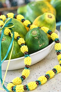 �p�C�i�b�v�����C�L�b�g