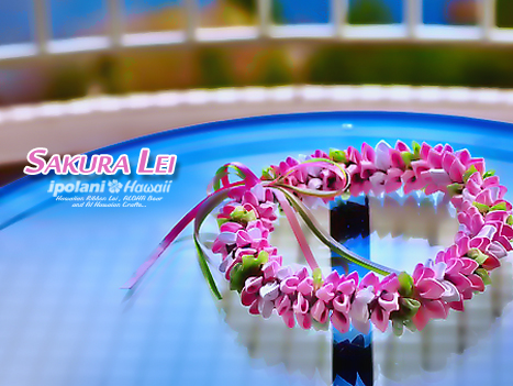 Sakura���C �L�b�g