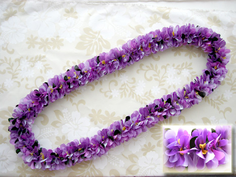 �i�C�I�I���A���C �L�b�g