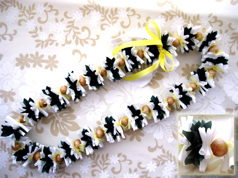 �i�E�p�Jwith�W���W���[���C �L�b�g