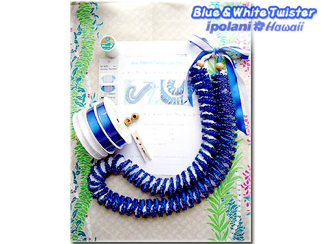 �u���[���z���C�g�c�C�X�^�[���C �L�b�g