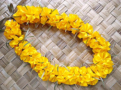 �}���[�S�[���h���C�L�b�g