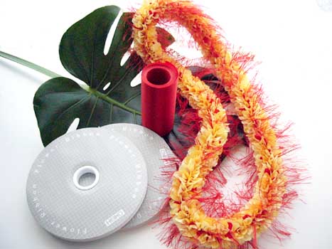 �E���E���I�n�C�A���C���C �L�b�g