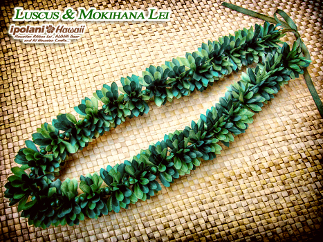 ���X�J�X���L�n�i���C �L�b�g